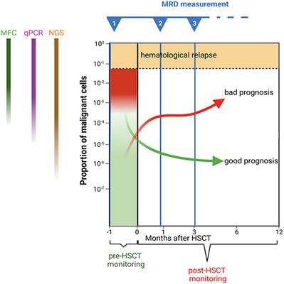 Minimal Residual Disease Prior to and After Haematopoietic Stem Cell Transplantation in Children and Adolescents With Acute Lymphoblastic Leukaemia: What Level of Negativity Is Relevant?